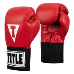 TITLE Boxing USA Boxing Competition Gloves - Elastic -Title Boxing Store ACGES RD 02