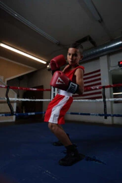 TITLE Boxing USA Boxing Competition Gloves - Elastic -Title Boxing Store ACGESRD 3