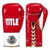 Boxeo Pro Fight Classic Leather – Horsehair Series Professional Punchers Boxing Gloves