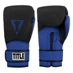 TITLE Boxing Conquest Training Boxing Gloves