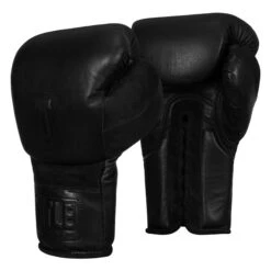TITLE Black Lace Sparring Gloves 2.0 10 TITLE Black Lace Sparring Gloves 2.0 -Title Boxing Store BKSG2 BK 2