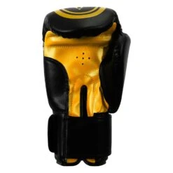 TITLE Classic Speed Boxing Gloves -Title Boxing Store CABG12 BK GD 4