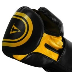 TITLE Classic Speed Boxing Gloves -Title Boxing Store CABG12 BK GD 6