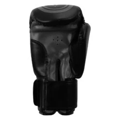 TITLE Classic Speed Boxing Gloves -Title Boxing Store CABG12 BK GR 4