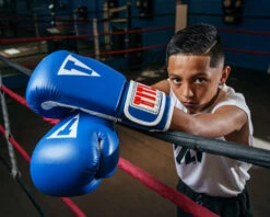 TITLE Classic Pro Style Training Gloves 3.0 35 TITLE Classic Pro Style Training Gloves 3.0 -Title Boxing Store CVVTG3BL 1