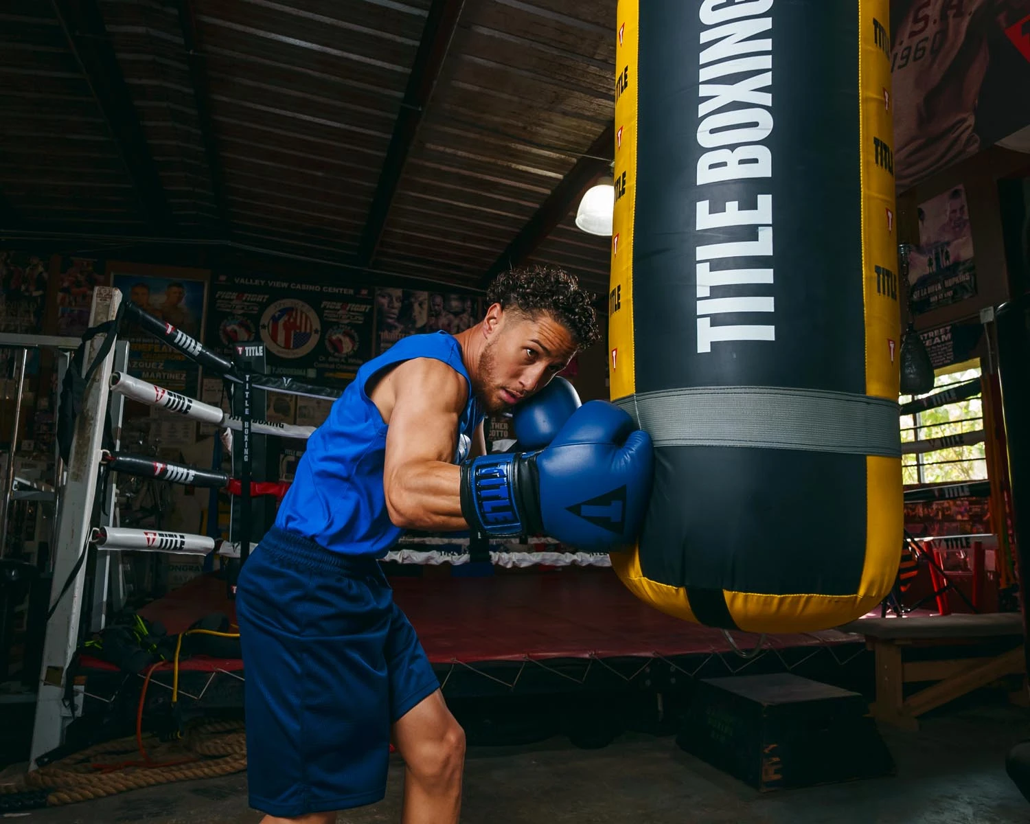 TITLE Boxing Dauntless Training Gloves 2 TITLE Boxing Dauntless Training Gloves - Image 2