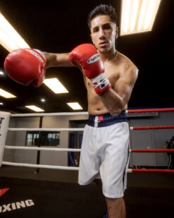 Fighting Professional Boxing Trunks 25 Fighting Professional Boxing Trunks -Title Boxing Store FPSTWHBL