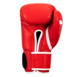 Fighting Fury Professional Training Gloves -Title Boxing Store FSFTGE RD 04