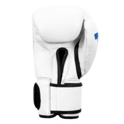 Fighting Fury Professional Training Gloves -Title Boxing Store FSFTGE WH 04