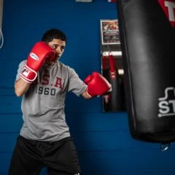 Fighting Fury Professional Training Gloves -Title Boxing Store FSFTGERD