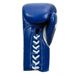 Fighting Fearless Certified Pro Fight Gloves II -Title Boxing Store FSPFG2 BL 04