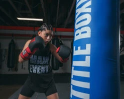 TITLE Boxing Guts And Glory Bag Gloves -Title Boxing Store GGBGBKRD 1