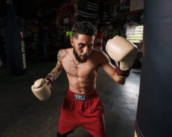 TITLE Boxing Honorary Bag Gloves 33 TITLE Boxing Honorary Bag Gloves -Title Boxing Store GOSBGTNMR 1