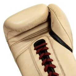 TITLE Boxing Honorary Sparring Gloves -Title Boxing Store GOSSG CRL BNL BK 5