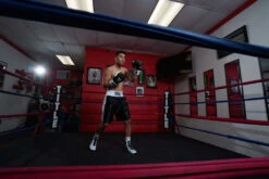 TITLE Boxing Great Official Pro Fight Boxing Gloves -Title Boxing Store GRPFGBKWH 1