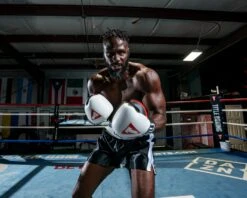 TITLE Boxing Great Official Pro Fight Boxing Gloves -Title Boxing Store GRPFGWHBKRD 2