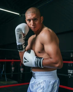 TITLE Boxing Great Official Pro Fight Boxing Gloves -Title Boxing Store GRPFGWHBK 1