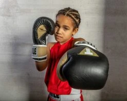 TITLE Boxing Gel World V2T Bag Gloves 38 TITLE Boxing Gel World V2T Bag Gloves -Title Boxing Store GTWBGV2T BK GD WH