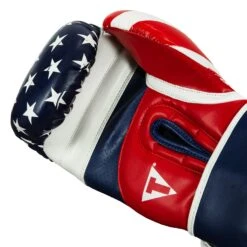 TITLE Boxing Liberty Bag Gloves -Title Boxing Store LBTBG RD WH BL 5