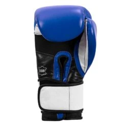 TITLE Boxing Premium Leather Performance Training Gloves 25 TITLE Boxing Premium Leather Performance Training Gloves -Title Boxing Store LPTG BL WH BK 004