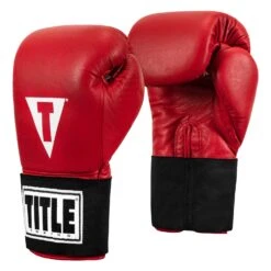 TITLE Boxing Masters USA Boxing Competition Gloves - Elastic -Title Boxing Store MACGES RD 02