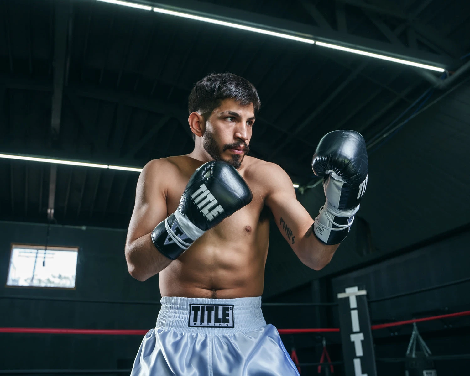 TITLE Boxing Red & White Leather Pro Fight Gloves β Professional Horsehair Lace-Up 2 TITLE Boxing Red & White Leather Pro Fight Gloves β Professional Horsehair Lace-Up - Image 2