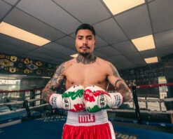 Pro Mex Combatiente Pro Fight Boxing Gloves – Mexican Style Genuine Leather Puncher’s Gloves 33 Pro Mex Combatiente Pro Fight Boxing Gloves – Mexican Style Genuine Leather Puncher’s Gloves -Title Boxing Store PMPFGCRDWHGR 1