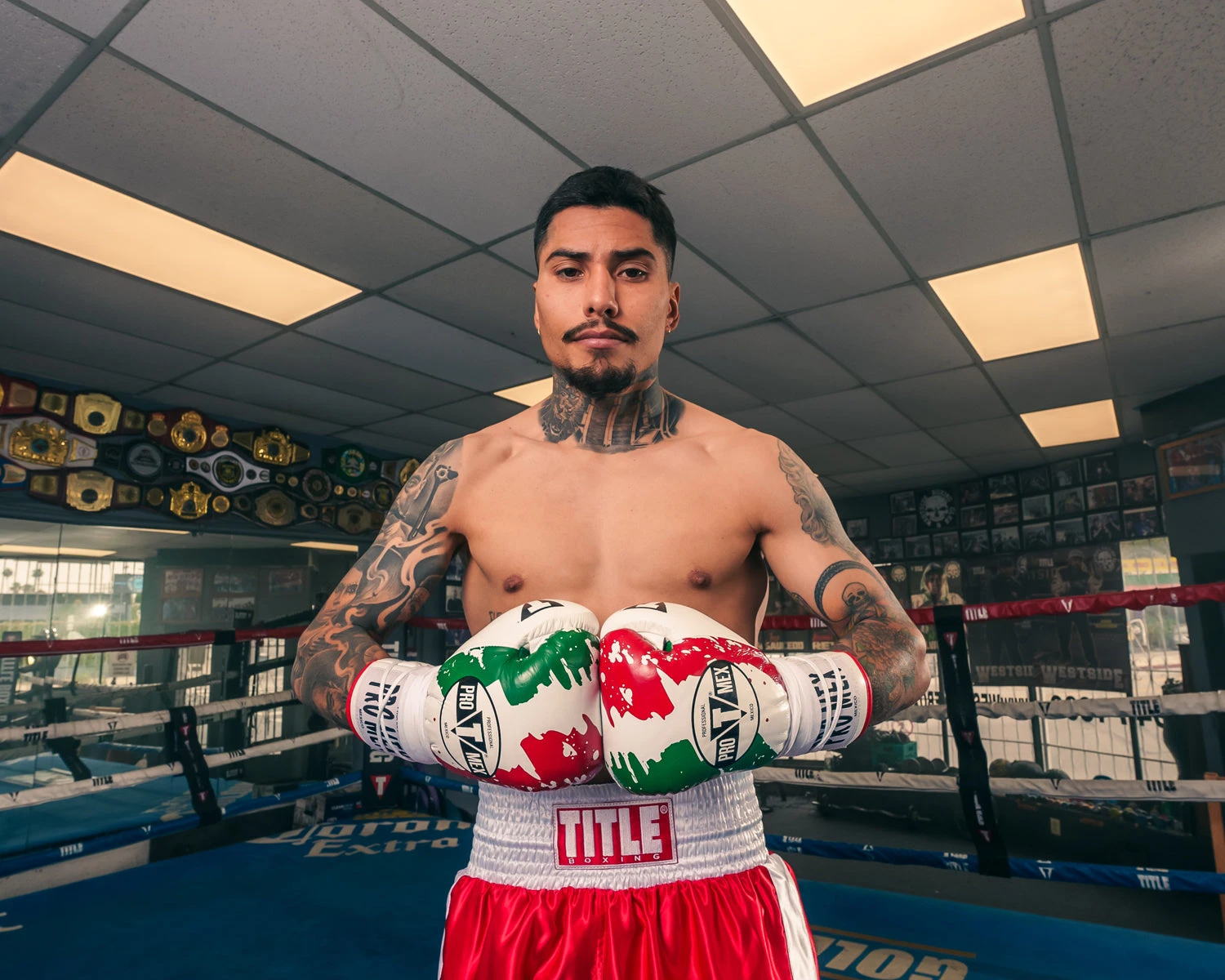 Pro Mex Combatiente Pro Fight Boxing Gloves – Mexican Style Genuine Leather Puncher’s Gloves 14 Pro Mex Combatiente Pro Fight Boxing Gloves – Mexican Style Genuine Leather Puncher’s Gloves - Image 14