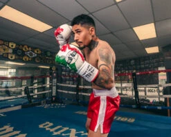 Pro Mex Combatiente Pro Fight Boxing Gloves – Mexican Style Genuine Leather Puncher’s Gloves 32 Pro Mex Combatiente Pro Fight Boxing Gloves – Mexican Style Genuine Leather Puncher’s Gloves -Title Boxing Store PMPFGCRDWHGR 2