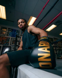 TITLE Boxing Sugar Ray Leonard Leather Bag Gloves 20 TITLE Boxing Sugar Ray Leonard Leather Bag Gloves -Title Boxing Store SRLBG 2 2