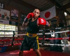 TITLE Boxing Edge Boxing Trunks -Title Boxing Store TBTC2BKGD 2 3bfa2e68 ab0b 4f13 acb6 4f1710e57898