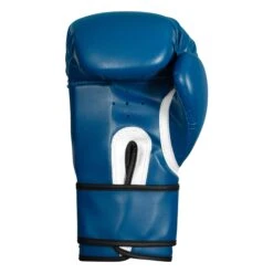 TITLE Boxing Peak Bag Boxing Gloves -Title Boxing Store TITLE Boxing Peak Bag Gloves back view BSABG blue