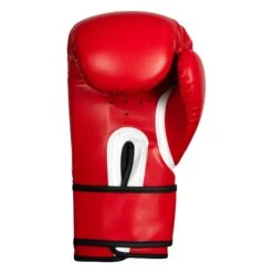 TITLE Boxing Peak Bag Boxing Gloves -Title Boxing Store TITLE Boxing Peak Bag Gloves back view BSABG red