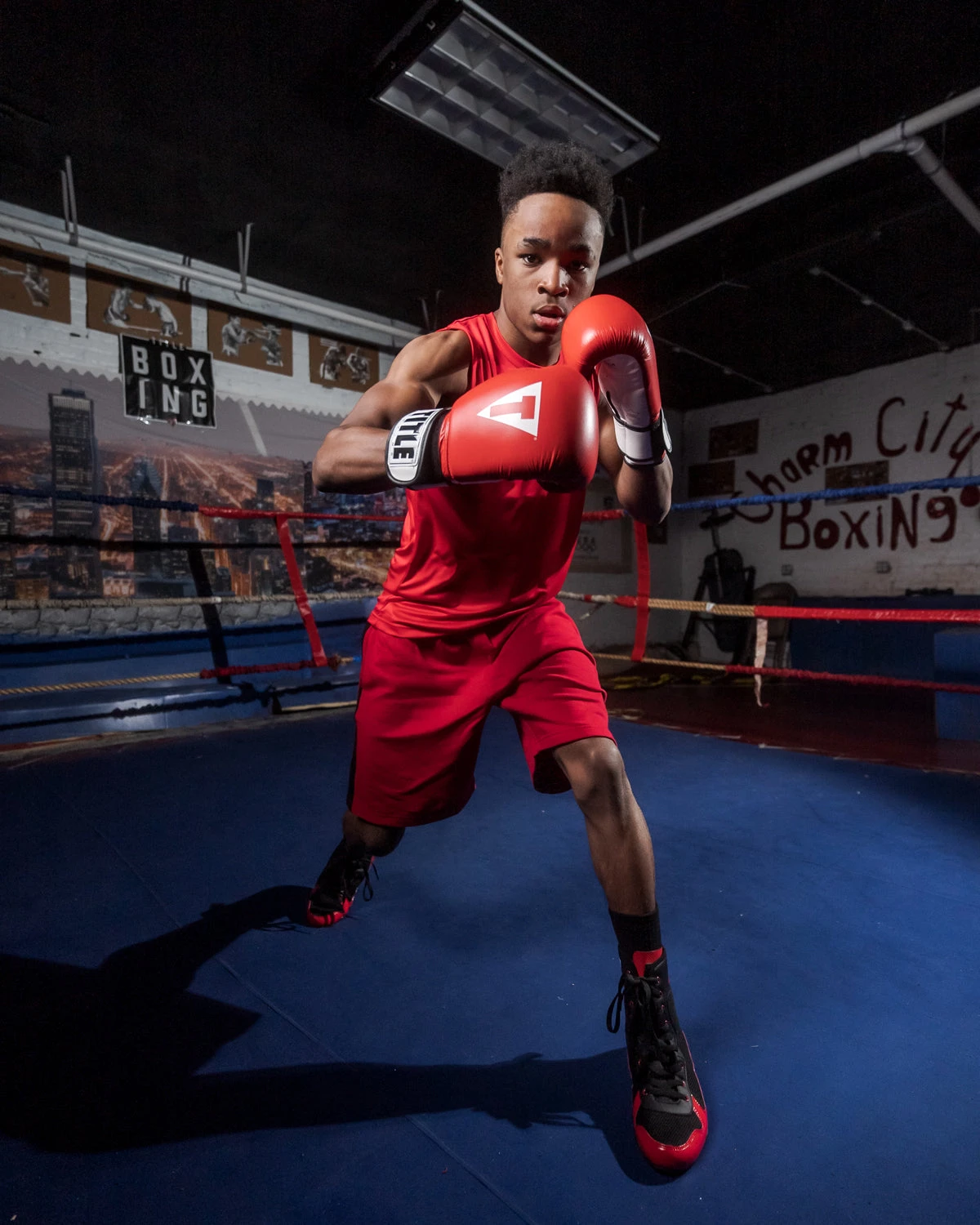 TITLE Boxing Premier Leather Super Bag Gloves 2.0 β Professional Full Grain Leather Training & Heavy Bag Gloves 18 TITLE Boxing Premier Leather Super Bag Gloves 2.0 β Professional Full Grain Leather Training & Heavy Bag Gloves - Image 18