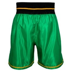 WBC By TITLE Boxing Professional Boxing Trunks - WBC Green Waistband Poly-Satin Competition Shorts -Title Boxing Store WBCBT GN BK 3