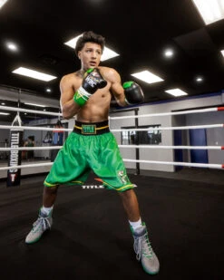 WBC By TITLE Boxing Professional Boxing Trunks - WBC Green Waistband Poly-Satin Competition Shorts -Title Boxing Store WBCBTGN