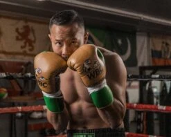 WBC By TITLE Boxing Jose Sulaiman Leather Gloves 17 WBC By TITLE Boxing Jose Sulaiman Leather Gloves -Title Boxing Store WBCJPFG