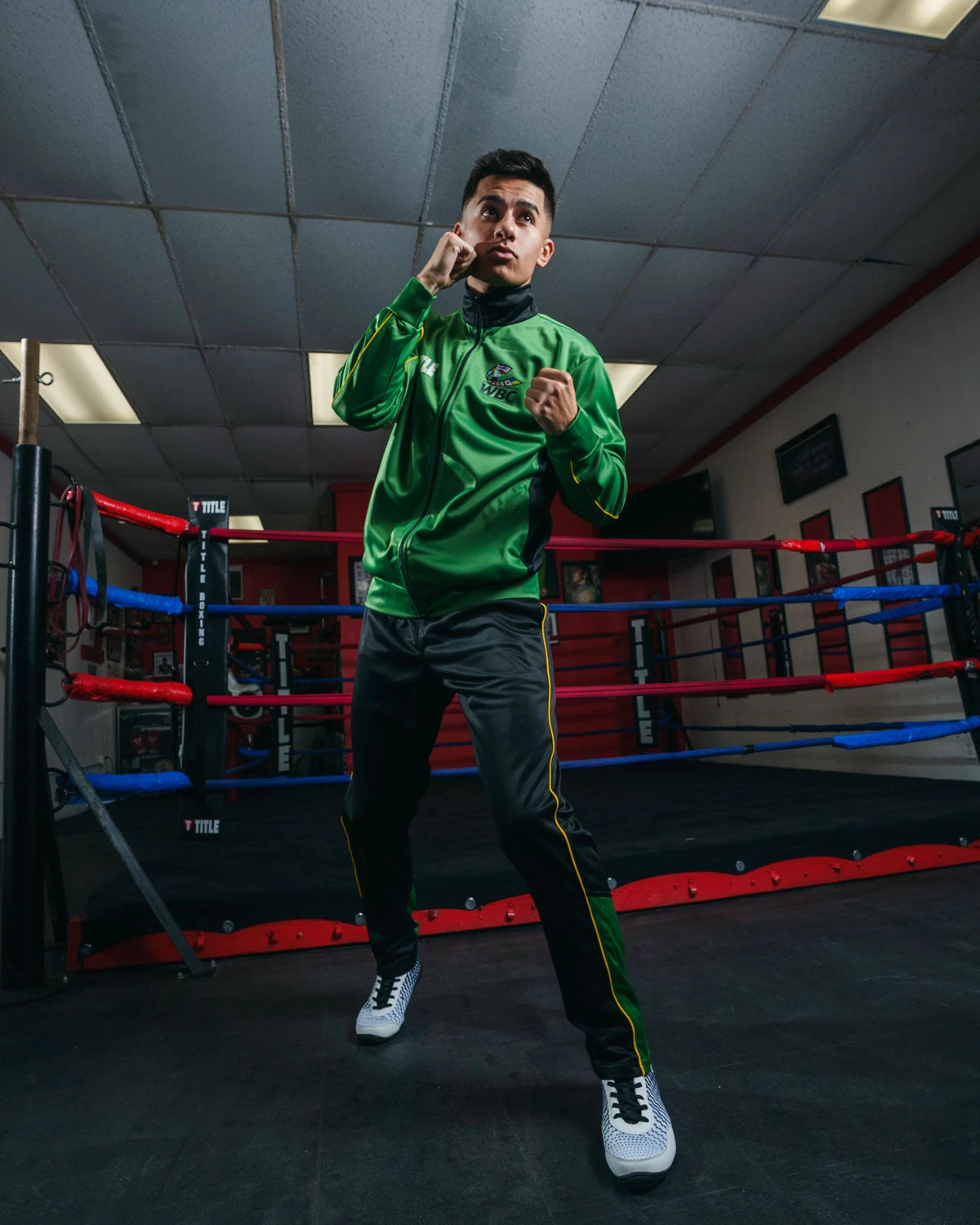 WBC by TITLE Boxing Signature Green and Gold β World Boxing Council Official Full-Zip Warm-Up Suit 10 WBC by TITLE Boxing Signature Green and Gold β World Boxing Council Official Full-Zip Warm-Up Suit - Image 10