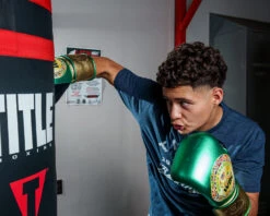 WBC By TITLE Boxing Green Belt Bag Gloves -Title Boxing Store WGBBGGNGD 1