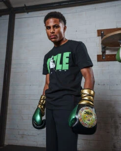 WBC By TITLE Boxing Green Belt Sparring Gloves -Title Boxing Store WGBSGBKGD 2