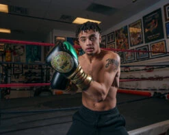 WBC By TITLE Boxing Green Belt Sparring Gloves -Title Boxing Store WGBSGBKGN 1