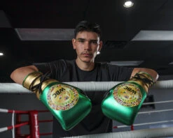 WBC By TITLE Boxing Green Belt Sparring Gloves -Title Boxing Store WGBSGGDGNBK 2