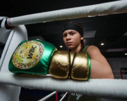 WBC By TITLE Boxing Green Belt Sparring Gloves -Title Boxing Store WGBSGGNBK 2