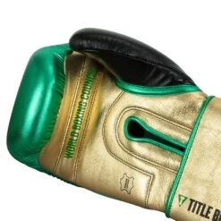 WBC By TITLE Boxing Green Belt Training Gloves 1.0 -Title Boxing Store WGBTG GN GD BK 5