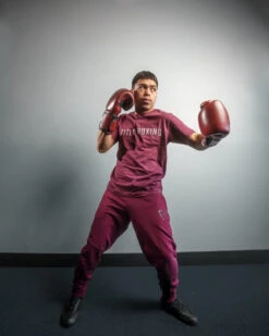 TITLE Boxing Blood Red Leather Bag Gloves -Title Boxing Store brbg rd 2