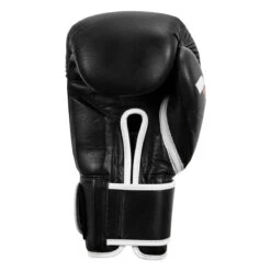 Fighting Fury Professional Training Gloves -Title Boxing Store fsftge bk 04