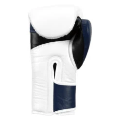 Fighting Force Training Gloves -Title Boxing Store ftgftg wh bl bk 4 1