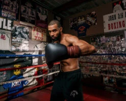 TITLE Boxing Honorary Sparring Gloves -Title Boxing Store gossg bk bnl 3 1 1