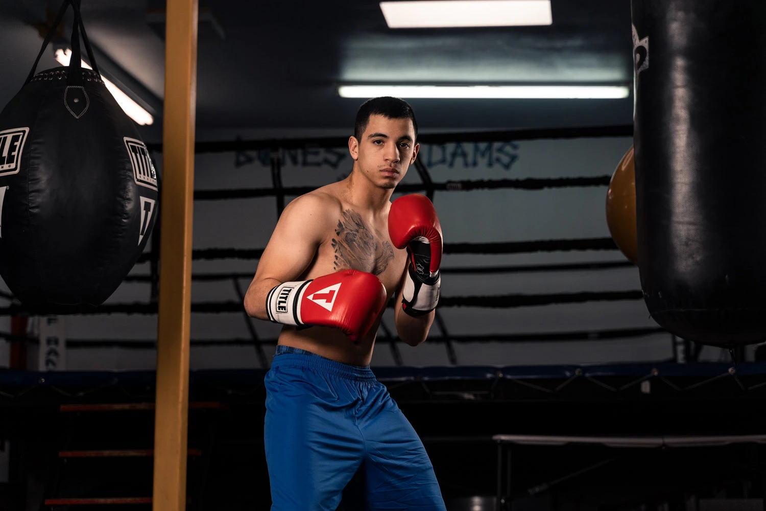 TITLE Boxing Premium Leather Performance Training Gloves 2 TITLE Boxing Premium Leather Performance Training Gloves - Image 2