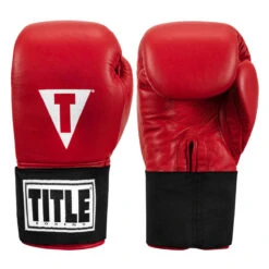 TITLE Boxing Masters USA Boxing Competition Gloves - Elastic -Title Boxing Store macges rd 01